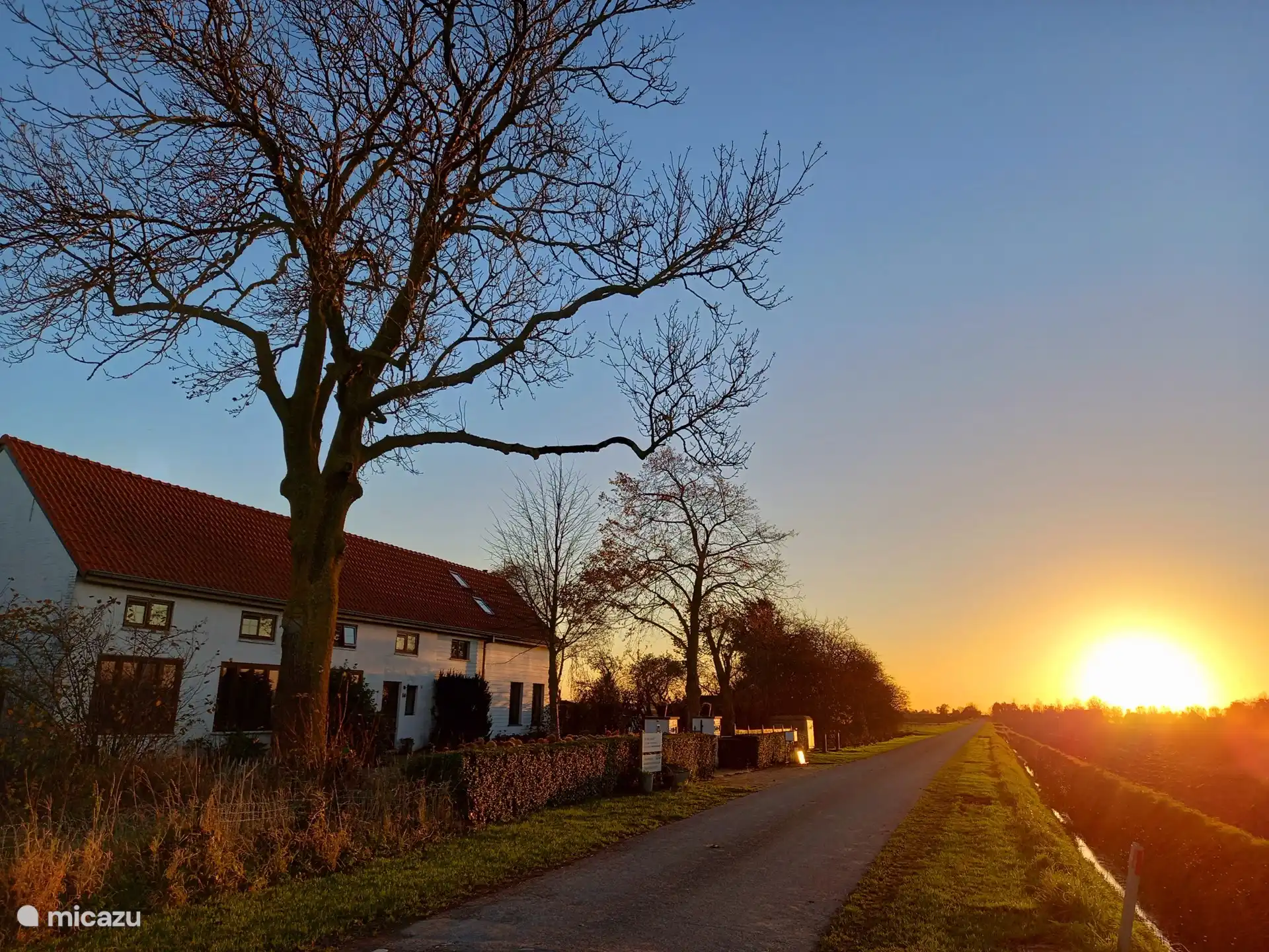 Vista de la casa con la avenida.