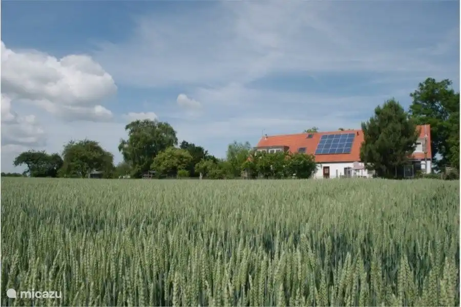 Vista trasera de toda la casa, a la derecha está su patio trasero, la entrada y el jardín de invierno.