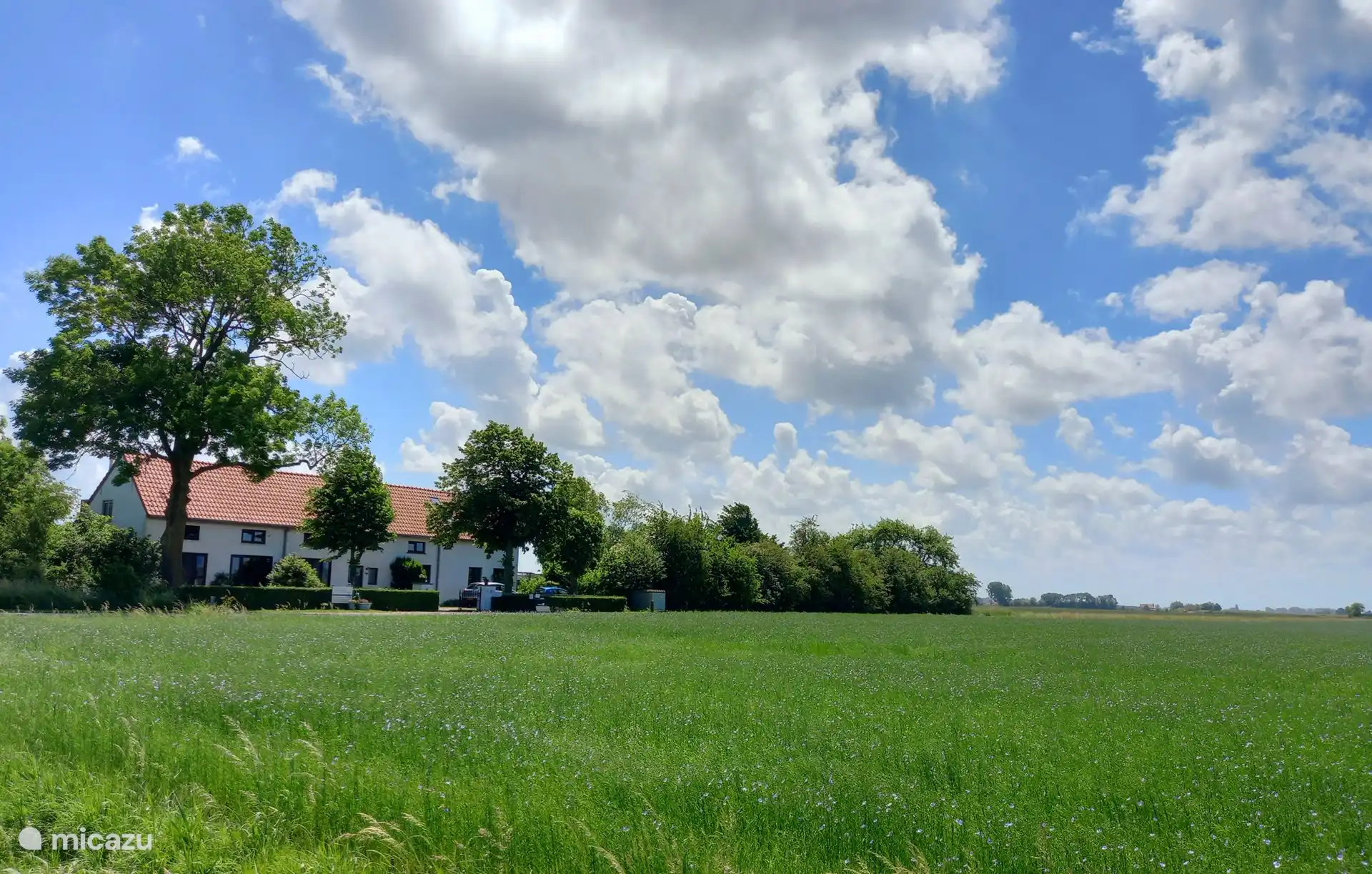 vista frontal de la casa