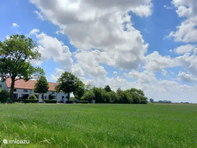 Casa de vacaciones 'La vieja escuela' en Países Bajos, Zelanda, IJzendijke - casa vacacional vista frontal de la casa