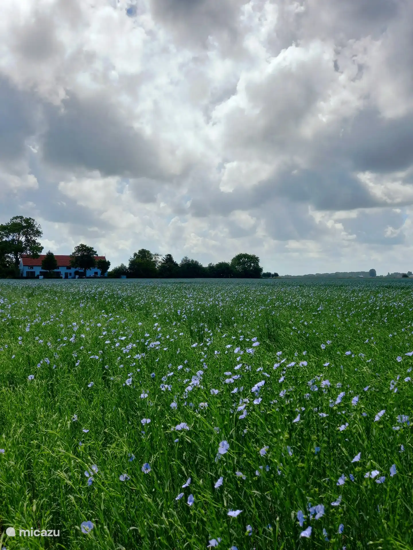 vista frontal de la casa