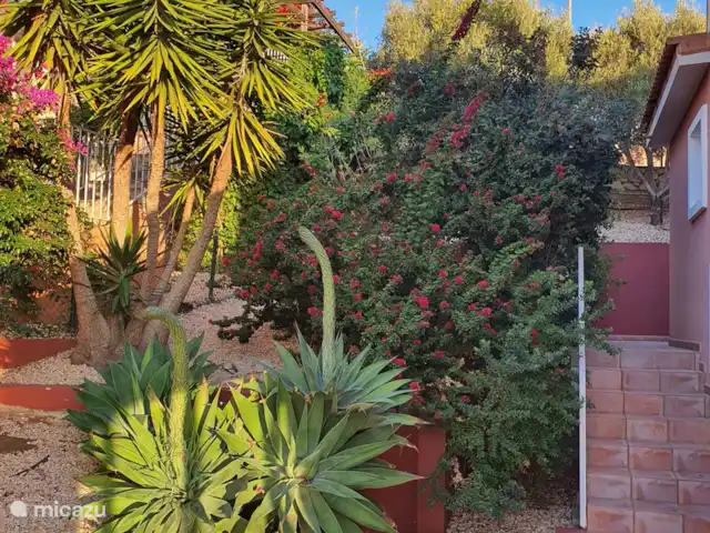 Villa de luxe avec chauffage. piscine privée | Espagne, Costa Blanca, Gata de Gorgos - villa jardin