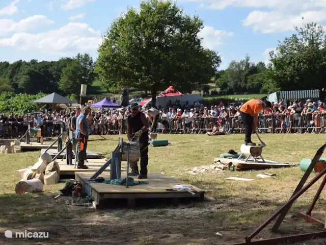 Maison QQ | France, Puy-de-Dôme, Gouttières - maison de vacances Fête du Bois