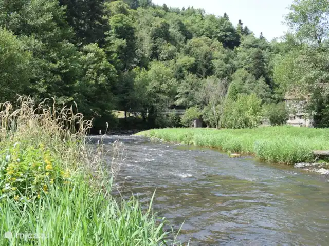 Maison QQ | France, Puy-de-Dôme, Gouttières - maison de vacances Belle nature