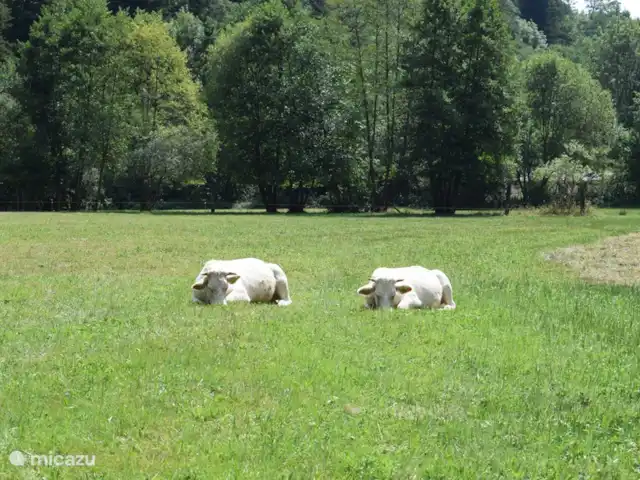 Maison QQ | France, Puy-de-Dôme, Gouttières - maison de vacances Se détendre