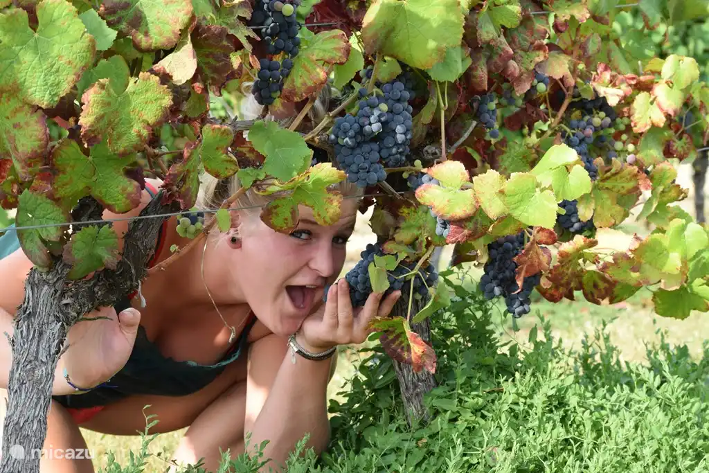 Onderweg Saint-Pourçain-sur-Sioule