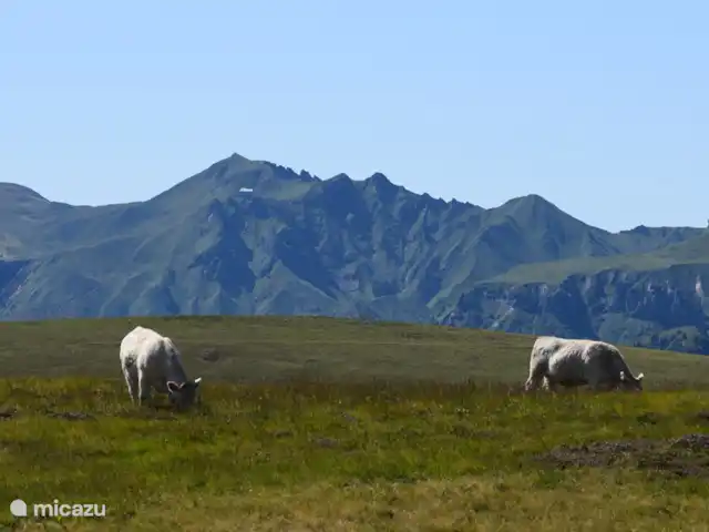 Maison QQ | France, Puy-de-Dôme, Gouttières - maison de vacances Le Sancy
