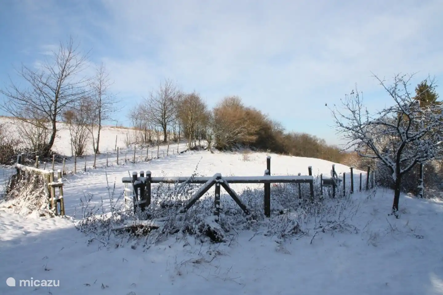 invierno en Liesenich