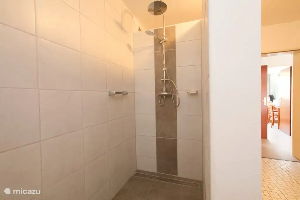 Baño con plato de ducha