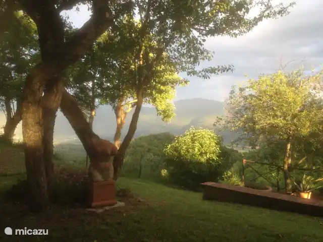 Studio Casetta dell'Angelo | Italie, Toscane, Castiglion Fiorentino - studio Jardin de la Casa Gambaroncia