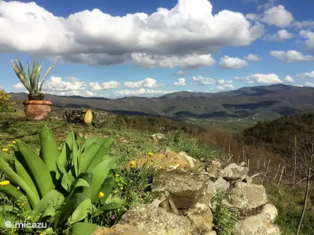 Studio Casetta dell'Angelo | Italie, Toscane, Castiglion Fiorentino - studio Printemps! Une saison appréciée de tous.