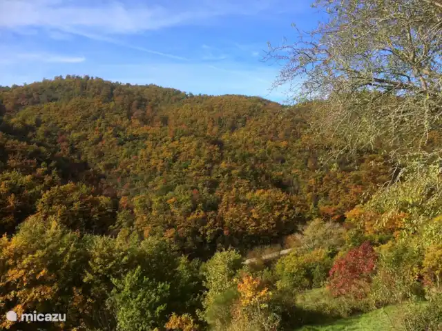 Studio Casetta dell'Angelo | Italie, Toscane, Castiglion Fiorentino - studio Couleurs d'automne autour de la maison