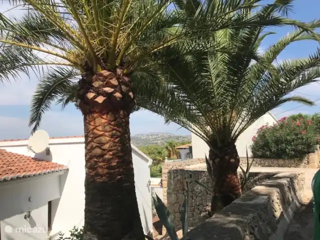 Villa Herrera en España, Costa Blanca, Moraira - villa Hermosas palmeras en la parte delantera de la casa