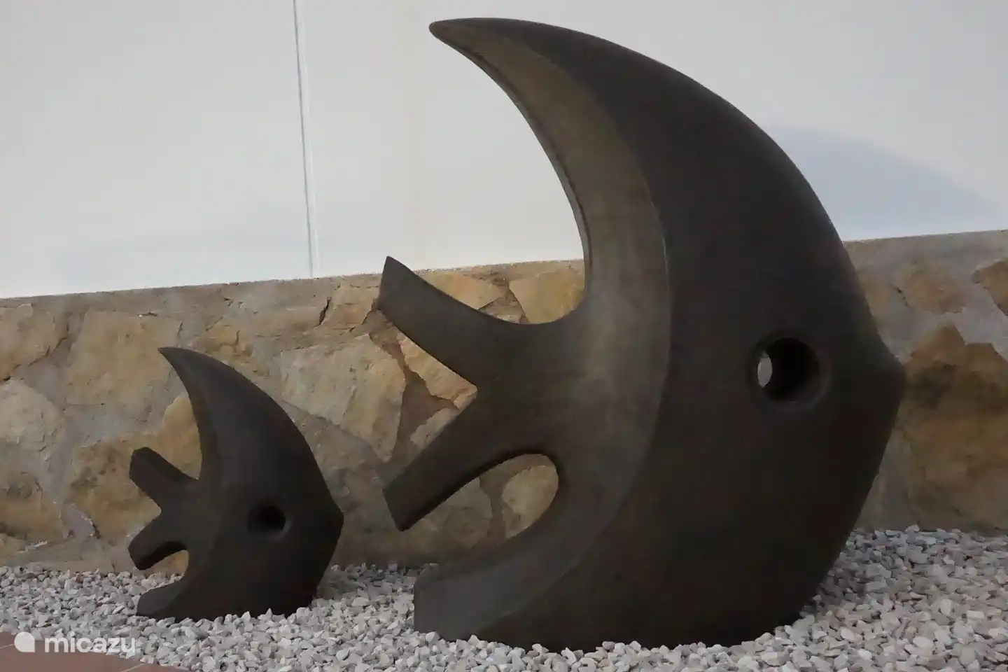 Récemment, nous avons placé des poissons mère et fille au bord de la piscine