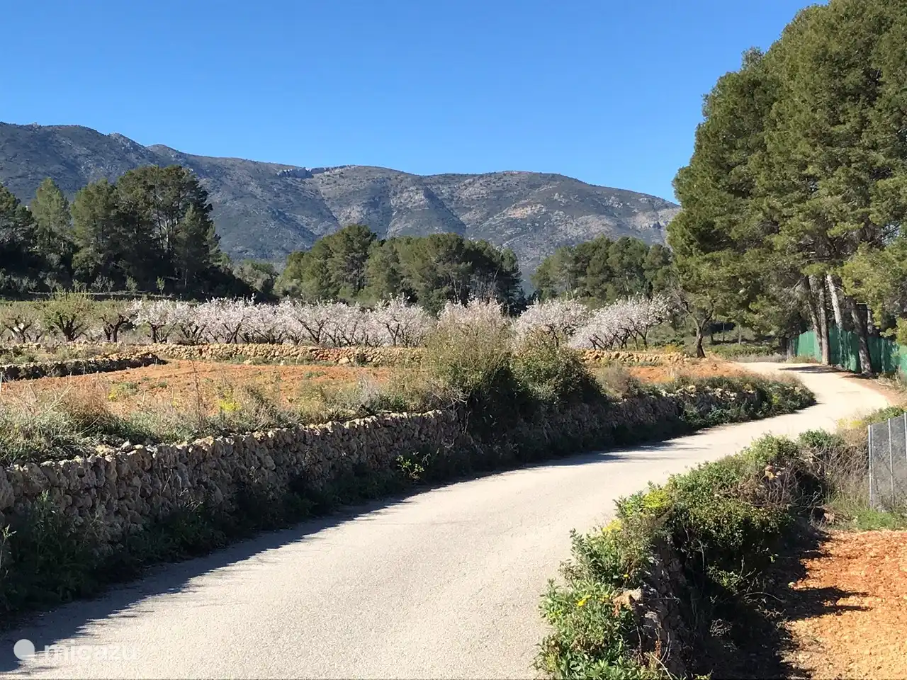 Sentier des fleurs dans la vallée de Xalon