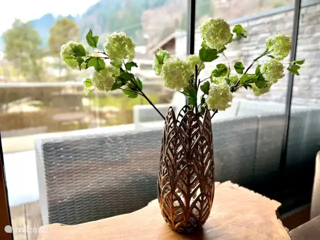 Résidence Neukirchen | Autriche, Salzburgerland, Neukirchen am Grossvenediger - appartement Décoration