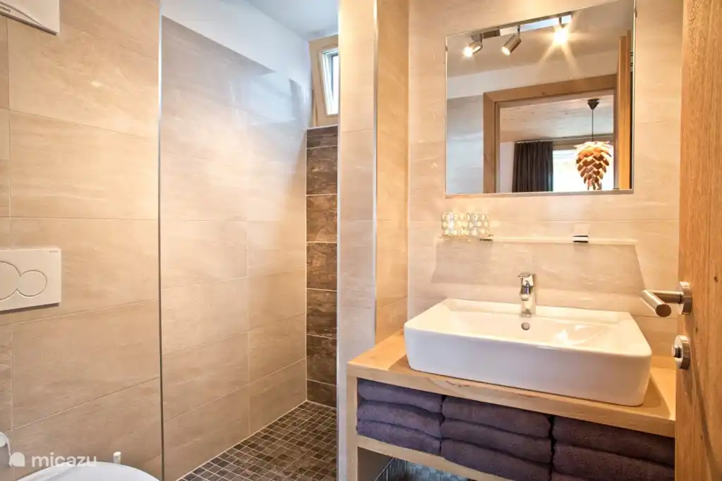 Badezimmer ensuite, mit Toilette, Dusche und Luxuswaschbecken mit robustem Eichenschrank