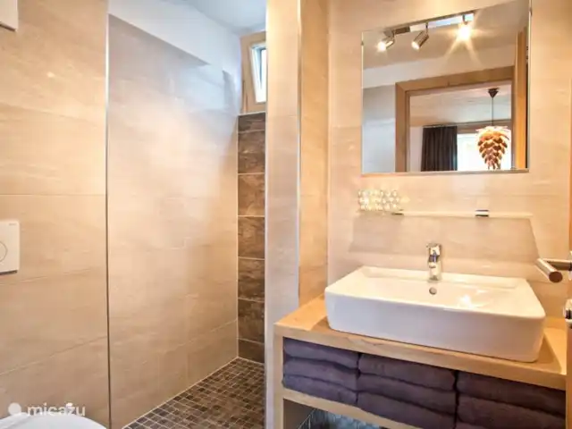 Résidence Neukirchen | Autriche, Salzburgerland, Neukirchen am Grossvenediger - appartement Salle de bain attenante, avec WC, douche et lavabo de luxe avec placard en chêne robuste