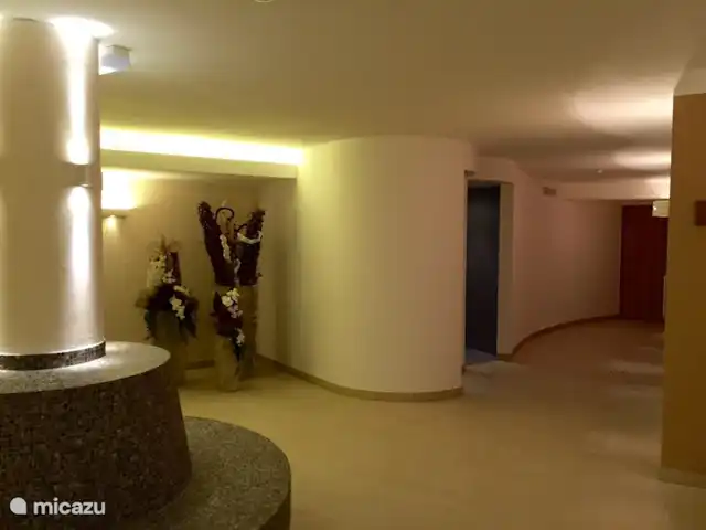 Résidence Neukirchen | Autriche, Salzburgerland, Neukirchen am Grossvenediger - appartement 21
