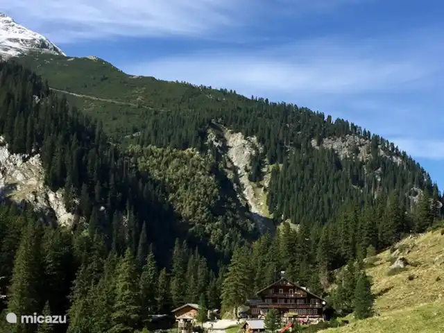 Résidence Neukirchen | Autriche, Salzburgerland, Neukirchen am Grossvenediger - appartement Berndlalm dans la vallée d'Obersulzbach à 1540 mètres d'altitude, une magnifique promenade ou en VTT électrique jusqu'au sommet