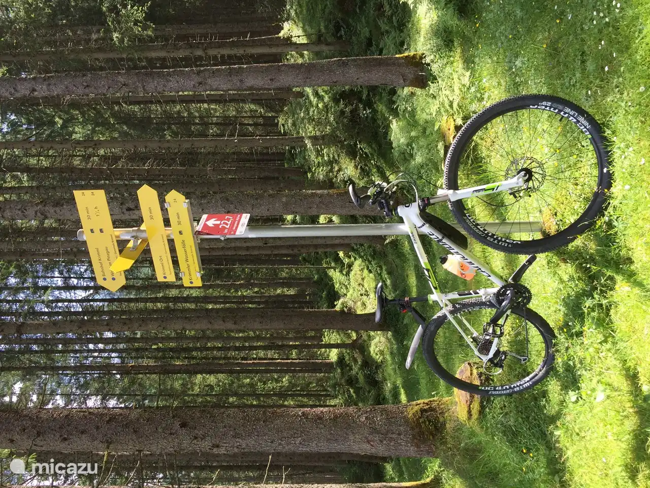 Folgen Sie mit dem Mountainbike auf schönen breiten Wegen nach Krimml den Schildern Tauernradweg. Der Tauernradweg verläuft von Krimml bis nach Zell am See, ist einfach, ohne nennenswerten Höhenunterschied.
