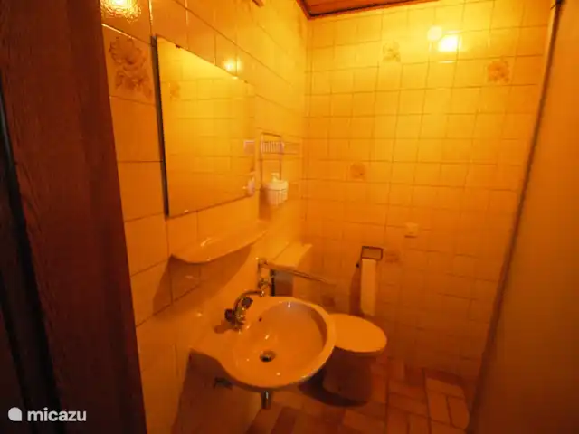 Ferienhaus Salm huren in Duitsland, Eifel, Salm - vakantiehuis Badkamer van kamer 14