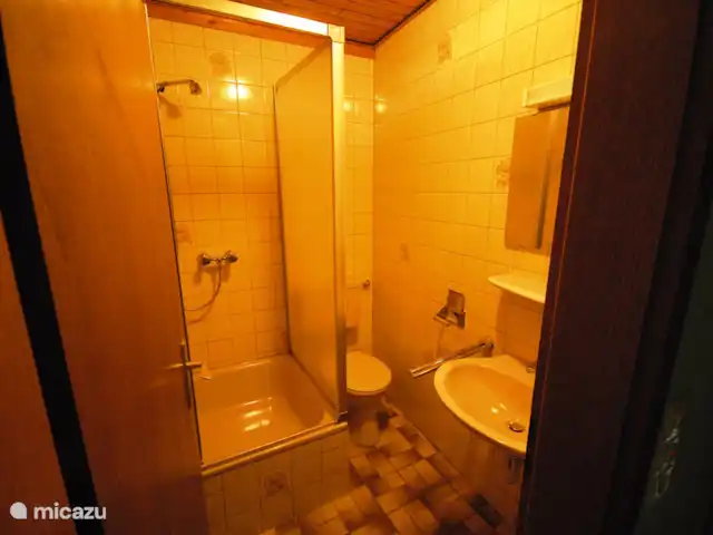 Ferienhaus Salm huren in Duitsland, Eifel, Salm - vakantiehuis Badkamer van kamer 11