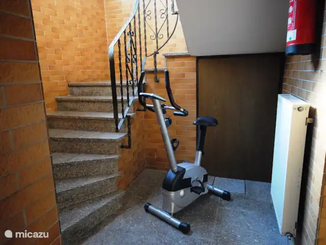 Ferienhaus Salm huren in Duitsland, Eifel, Salm - vakantiehuis Opgang naar begane grond