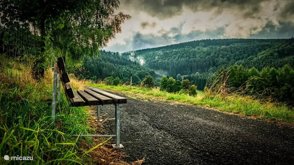 Por los caminos, por las avenidas.