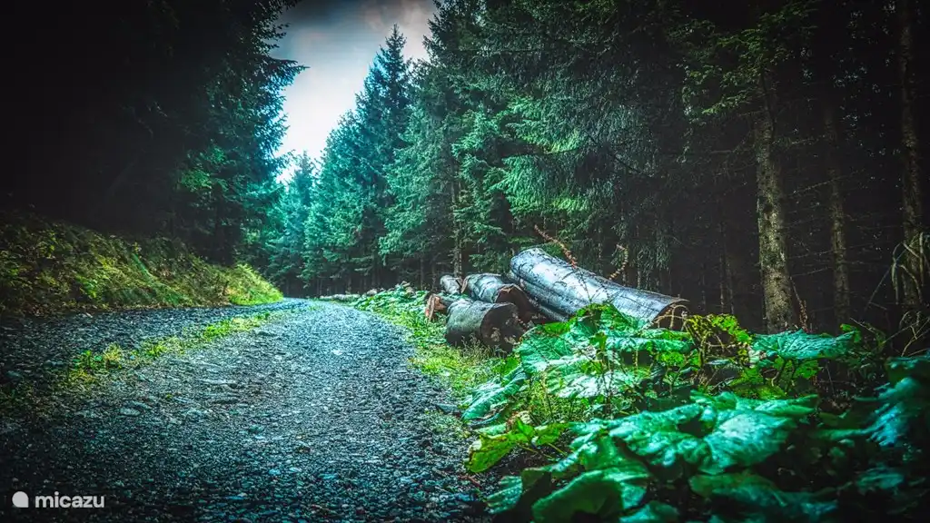 Escenas de cuento de hadas a la vuelta de la esquina del castillo de Queens