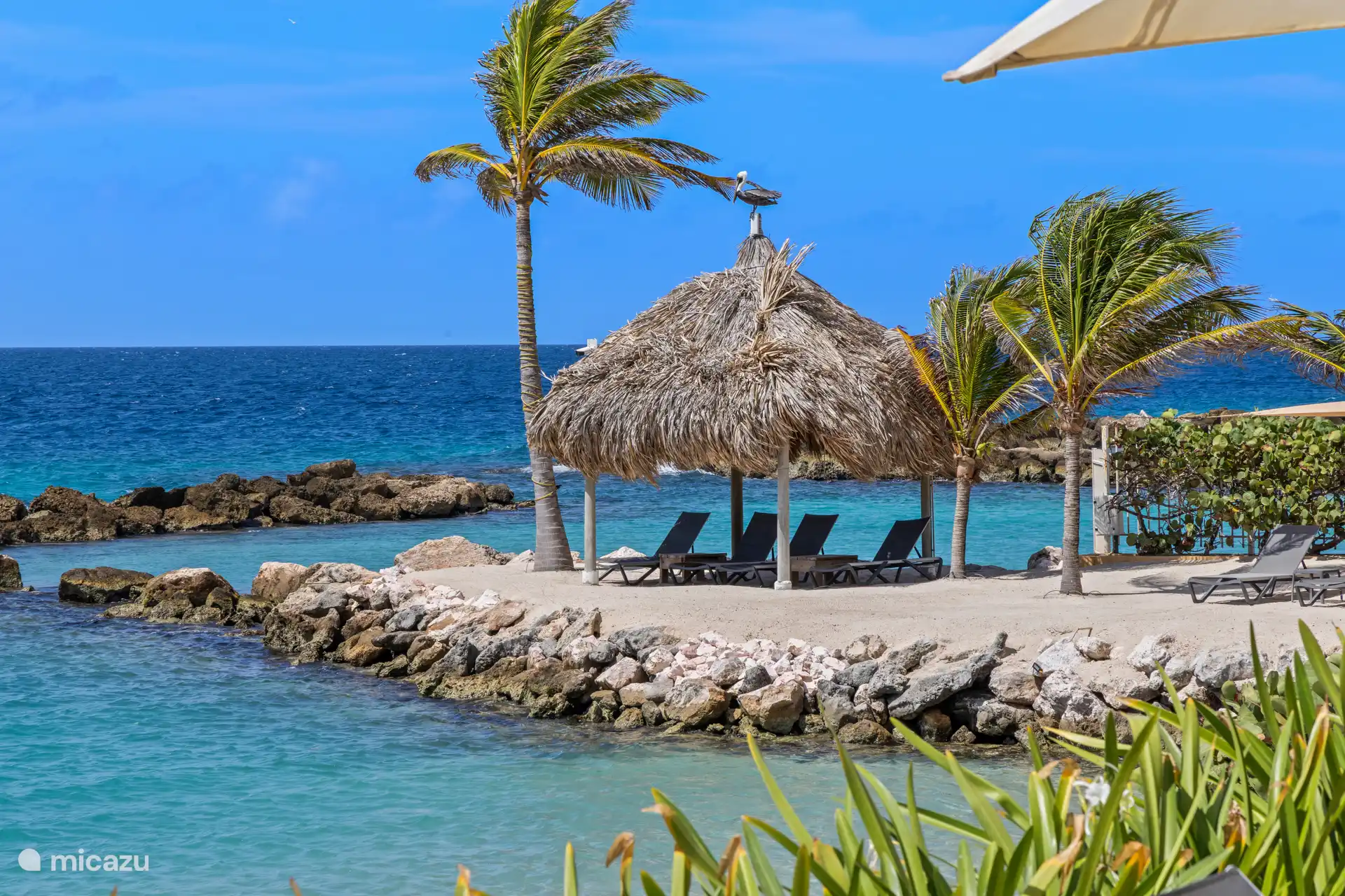 Dies ist der perfekte Ort, um sich zu entspannen und die karibische Sonne zu genießen. 