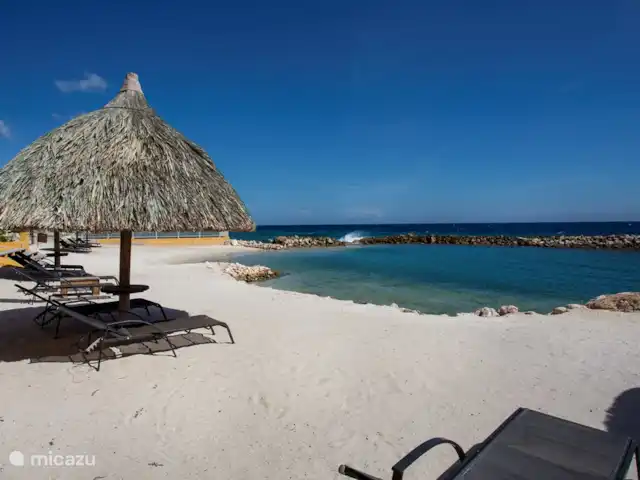 Le brin | 5 pers. appartement | Curaçao, Curaçao-Centre, Willemstad - appartement Votre propre plage à votre porte