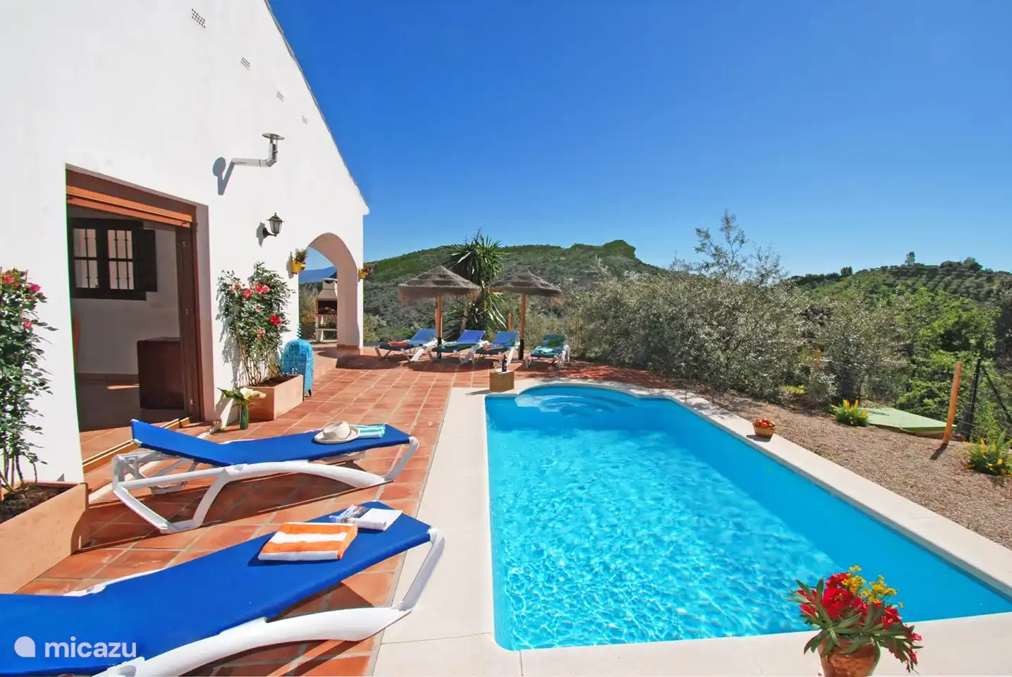 Piscine et terrasses avec BBQ !