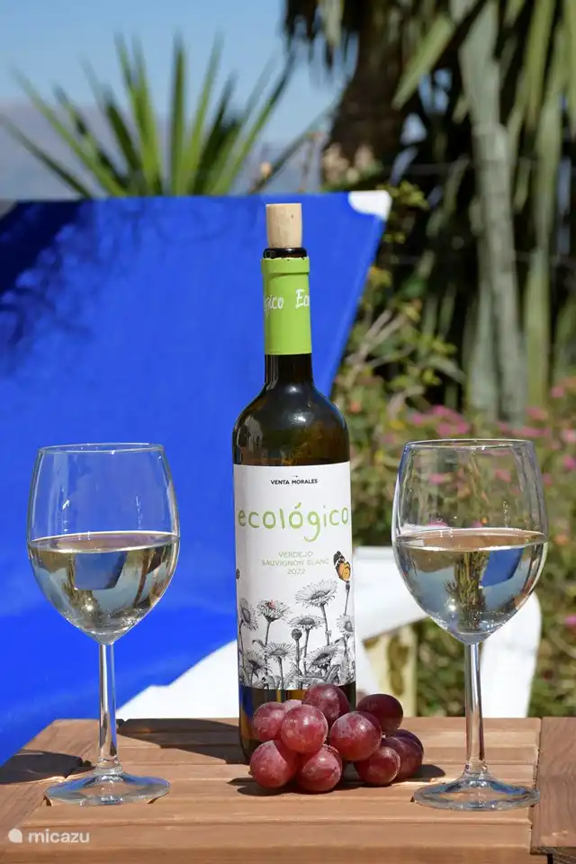 un bon moment de détente au bord de la piscine