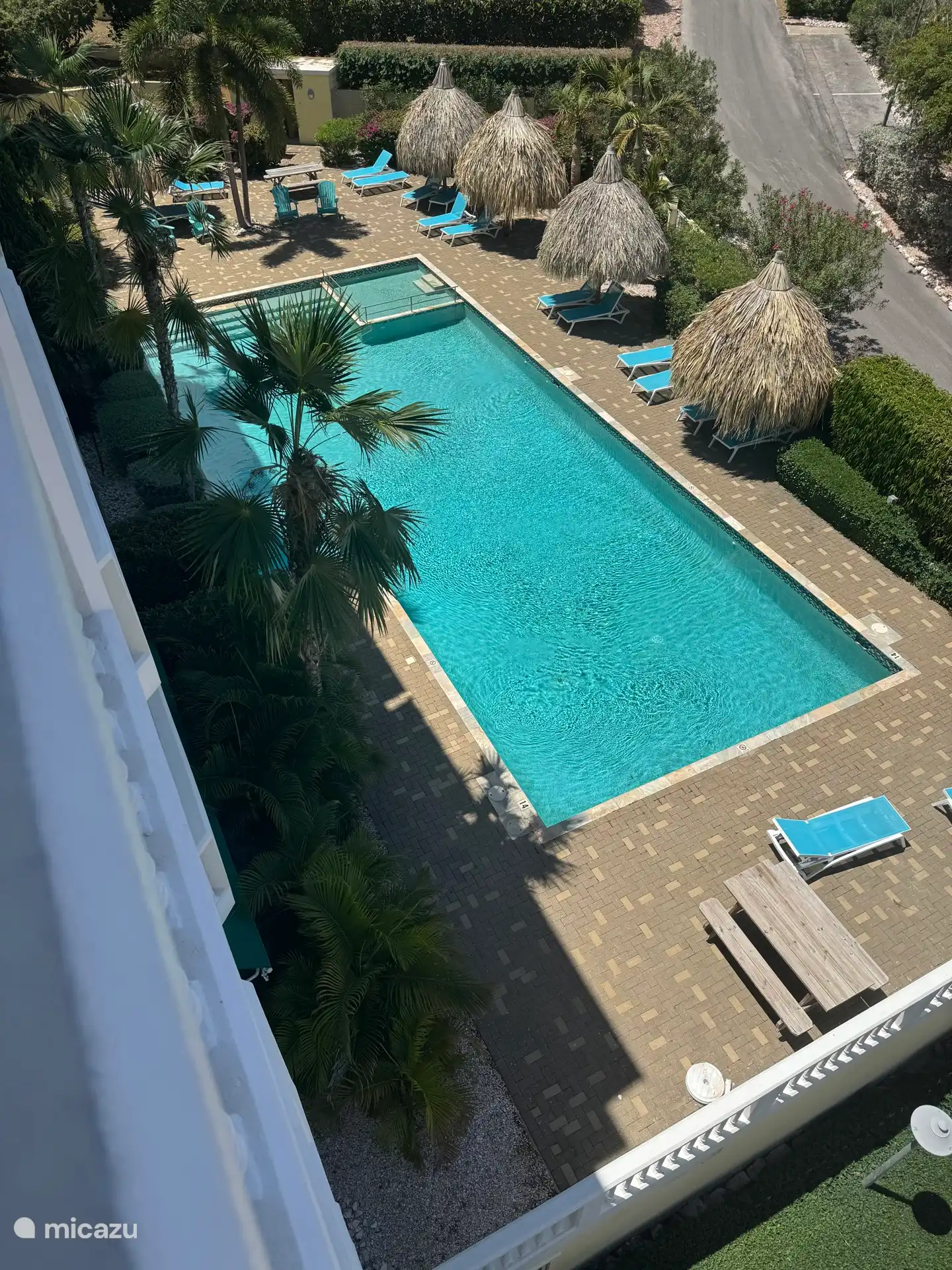 Schwimmbad mit Sonnenliege und Palapas (beide neu seit 2025) nur für Gäste von Triple Tree