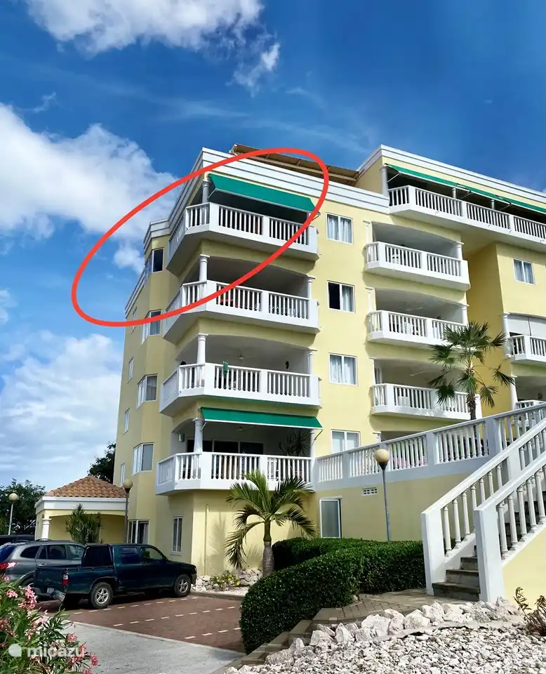 New in 2021! sunshade