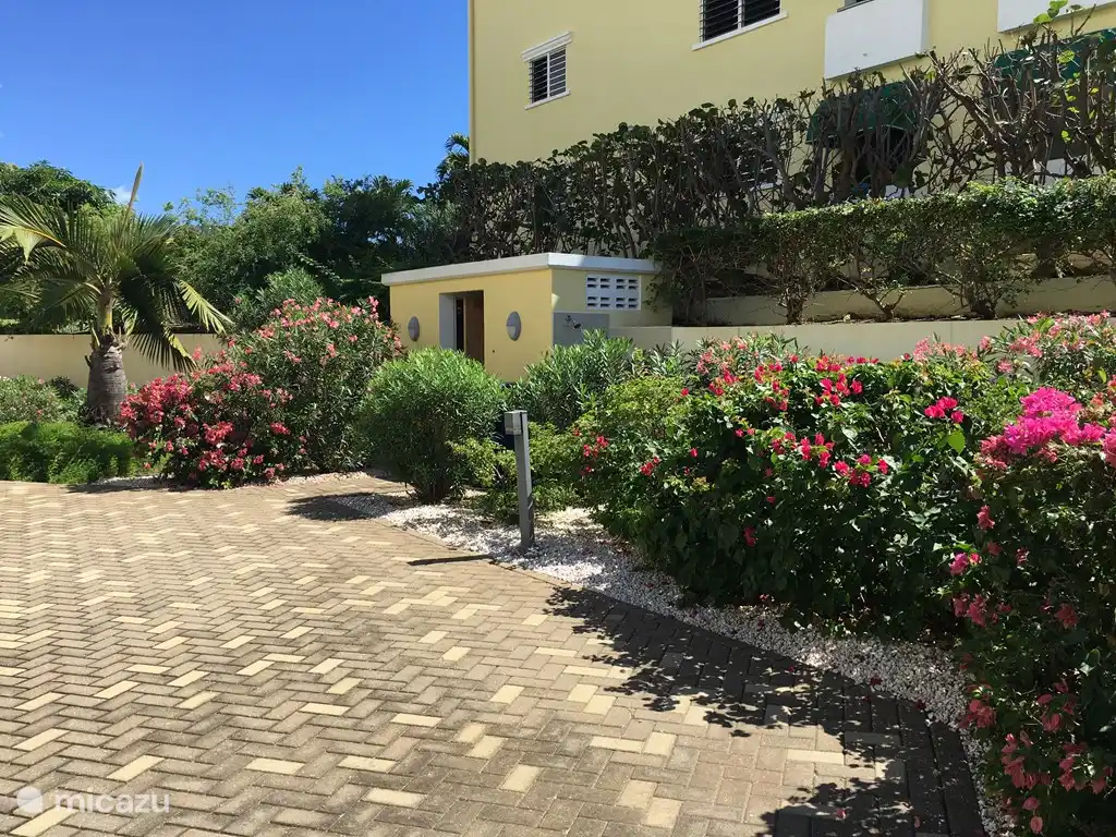 Outdoor shower and toilet block by the pool