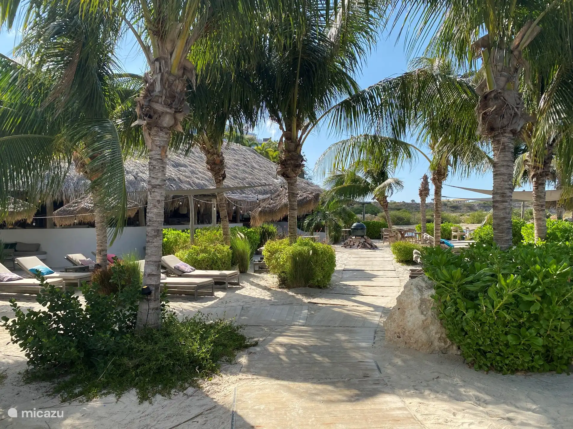 Beach club Brass Boer