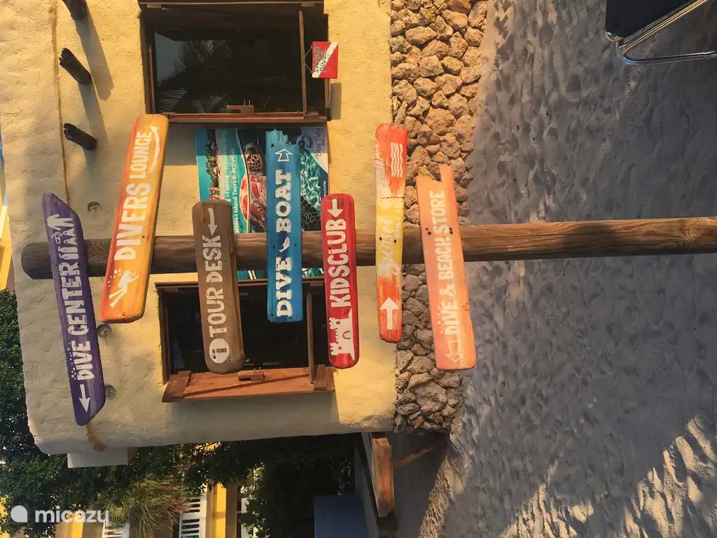 Where do you want to go on the beach?