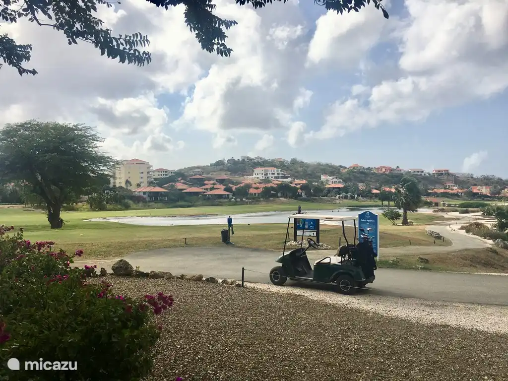 Golf course holes 1 and 18