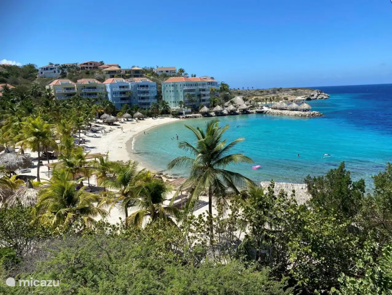 Beach with free sunbeds, palapas and lots of palm trees.