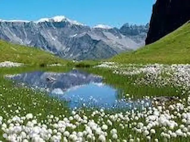 Glaernisch Blick | Suisse, Suisse orientale, Engi - maison de vacances L’orme en été