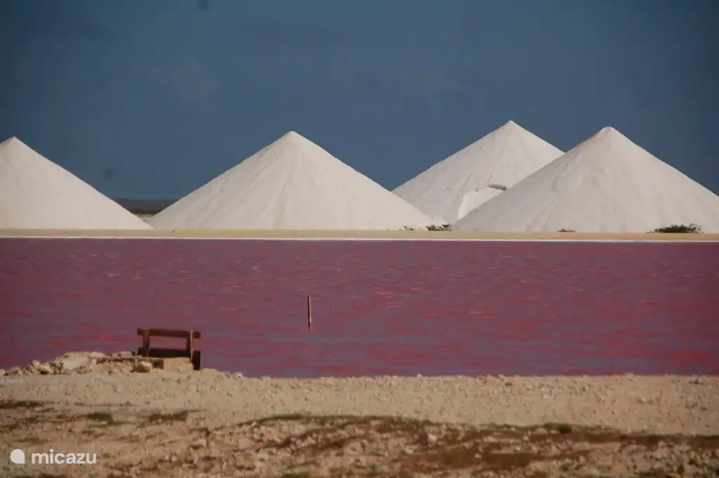 salt extraction