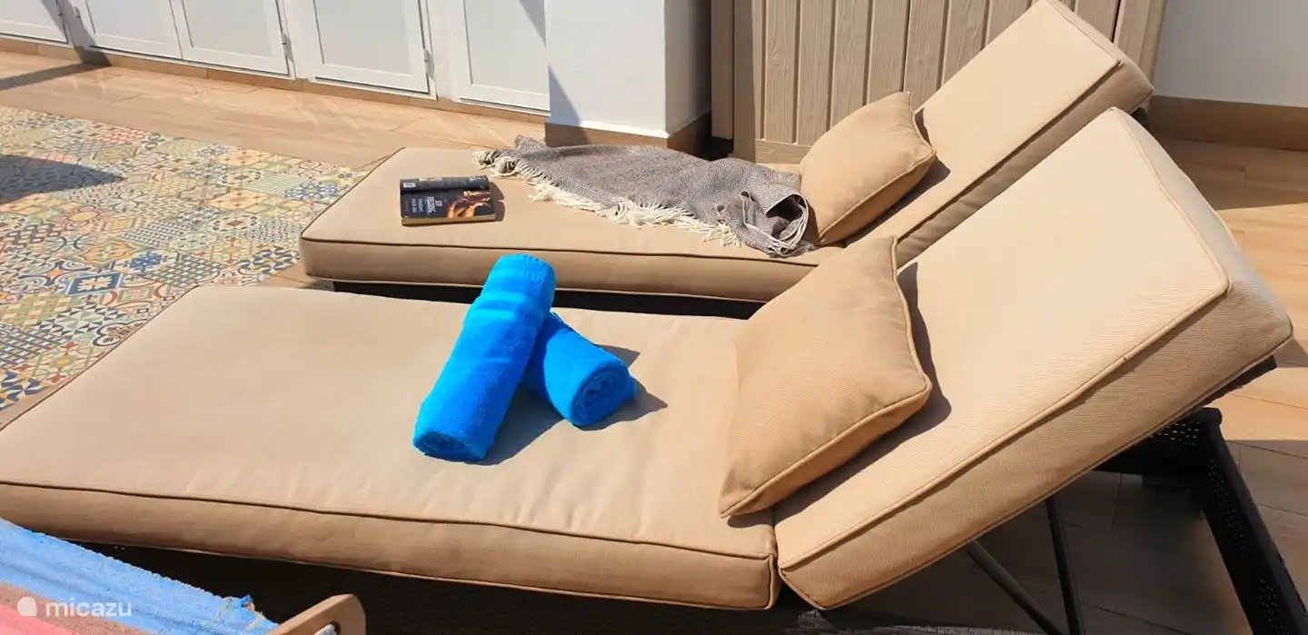 Zwei wunderschöne Sonnenliegen, mit denen Sie stundenlang Spaß in der Sonne haben können!