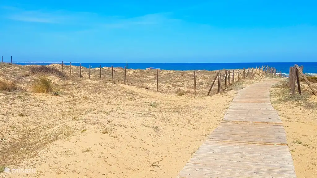 Der idyllische Weg durch die Dünen zum Sandstrand. Innerhalb weniger Minuten sind Sie bereits am Strand!