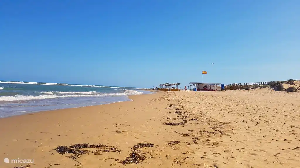 Die langgestreckten Sandstrände von La Mata und Guardamar del Segura. Kilometerlanges Laufvergnügen!
