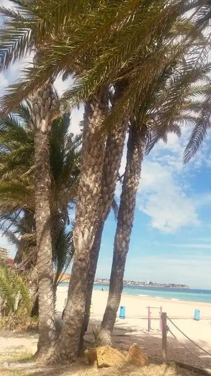 Die langgestreckten Sandstrände von La Mata und Guardamar del Segura. Kilometerlanges Wandervergnügen!