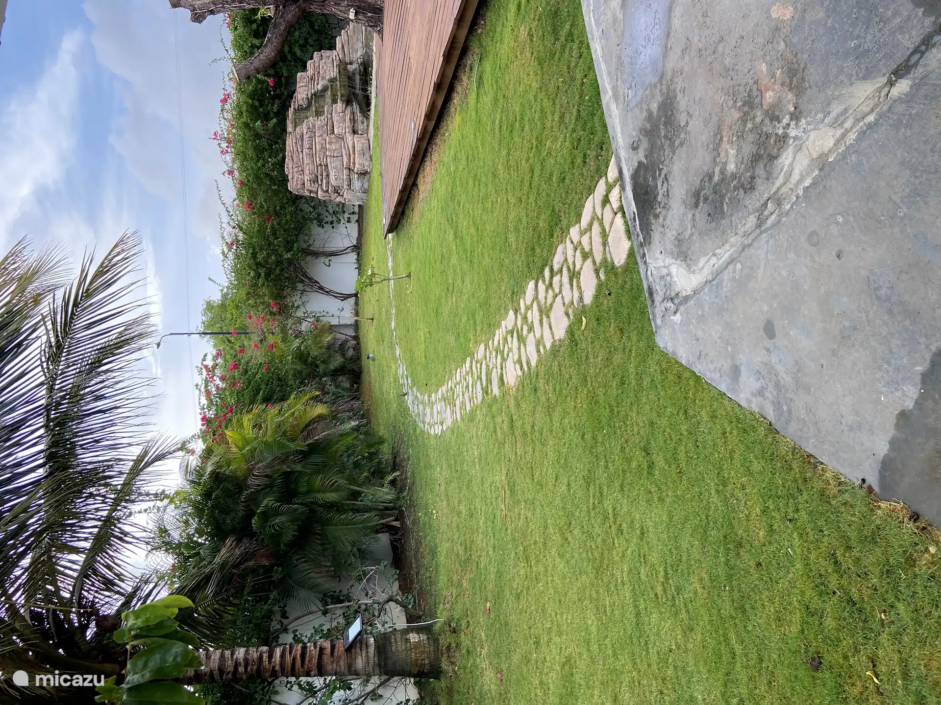 Our large tropical garden