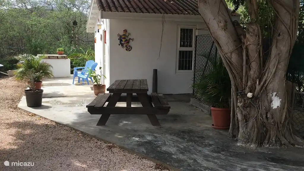 Caita from the side with outside space