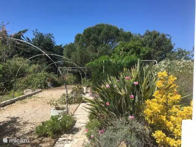 Villa Belo Romao en Portugal, Algarve, Moncarapacho - villa pedazo de patio delantero
